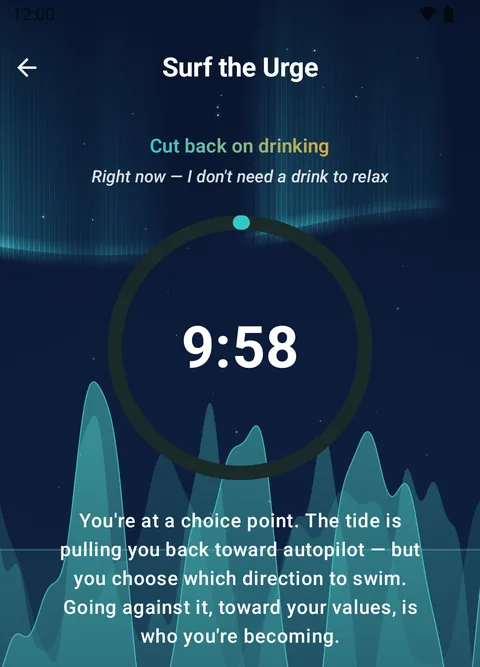 Surf the Urge screen: an urge timer over an aurora-lit night ocean, with a supportive coach message